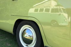 Reflection of Splitty in Door