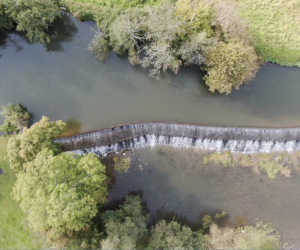 Telisford Weir – Somerset